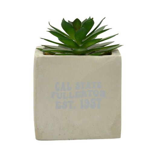 MINI FAUX POTTED SUCCULENT NEIL ENETERPRISES